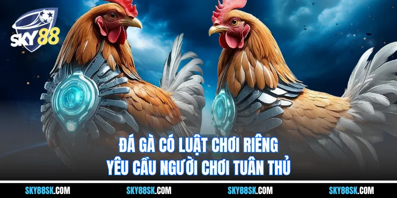 Đá gà có luật chơi riêng yêu cầu người chơi tuân thủ