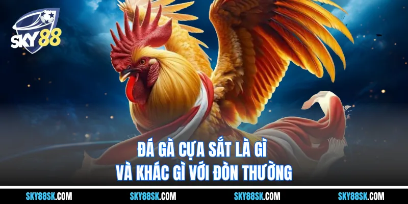 Đá gà cựa sắt là gì và khác gì với đòn thường