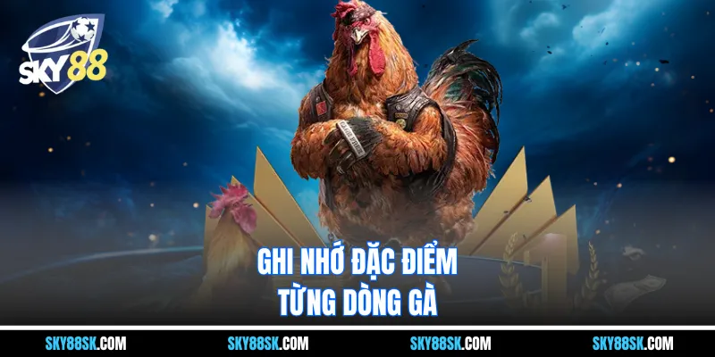 Ghi nhớ đặc điểm từng dòng gà