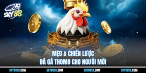 đá gà Thomo