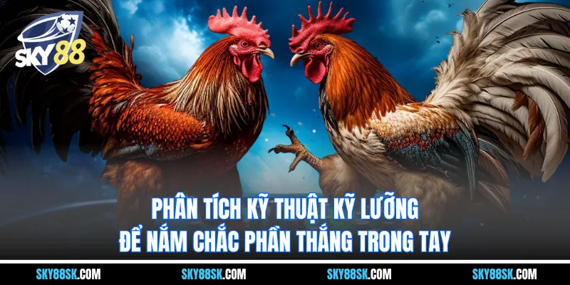 Phân tích kỹ thuật kỹ lưỡng để nắm chắc phần thắng trong tay